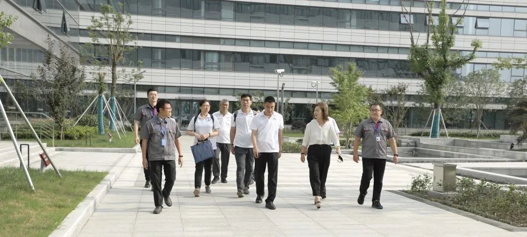 1624331579504246.jpg 3.jpg